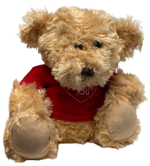 (image for) Plush Tan Bear with Red Jacket (23cm)